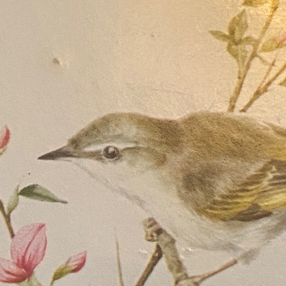 Vintage English cork bottom coaster with a bird theme, 12 pcs - Picture 14 of 16